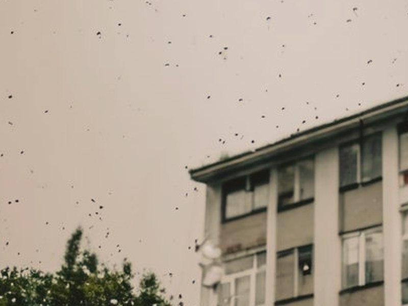 Run away